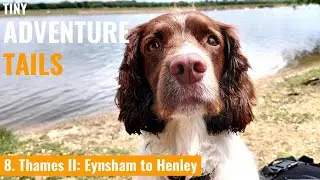Sustainable Adventure Travel For Families:  The Thames Source to Sea Part 2  (Eynsham to Henley)