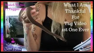Tagged!!! Something Different One Little Python Snake Apani And Me