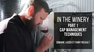 In the Winery - Cap Management Techniques