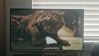 Dolittle (2020) - Chee-Chee vs Barry in the prison scene