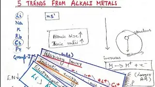 5 Trends from Alkali metals (Group 1 elements)|| s-block elements
