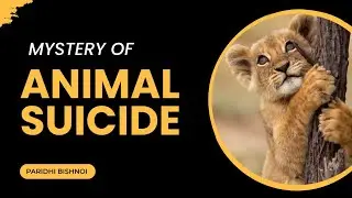 Do animals commit suicide? Mystery of animals suicide।@PARIDHIBISHNOI29 #animals
