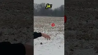 PRZEGRAM = KARA Z KOMENTARZA! 🥶