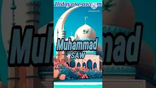 Muhammad Saw #shorts #trending #ytshorts #viral #deen #naatsharif #duet #hidayat e awaam