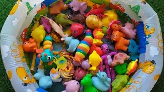 🌊 LEARN OCEAN ANIMAL NAMES AND FACTS | DISCOVER SEA ANIMAL TOYS 🧸🐠