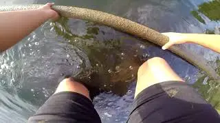 Early October Bass Fishing (ft. PaulE)