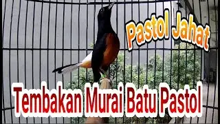 Pastol Stone Magpie Shot |  Evil Stone Magpie Sound