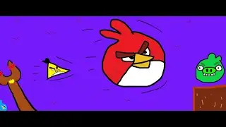 Aves com raiva amigos🐦😠😠