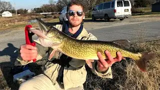 MONSTER CHAIN PICKEREL!! (Fish of a Lifetime)