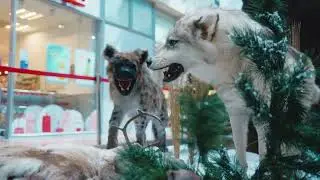 Giganten der Eiszeit 2024 noch bis zum 18. Mai im Kauf Park G&ouml;ttingen