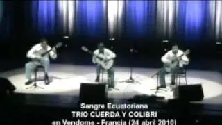 Sangre Ecuatoriana - Cuerda y Colibri