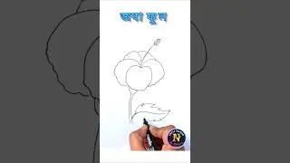 জবা ফুল আঁকা | Hibiscus drawing easily #drawing #viral #ytshorts #shoorts #art
