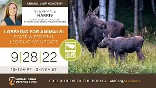 Lobbying for Animals: State & Federal Legislative Update
