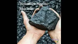 #137 Bioavailable minerals - fulvic acid and how to optimize minerals in your diet