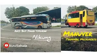 Manuver !! Tajam Kumpulan Bus 