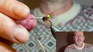 Ultra shrimp 