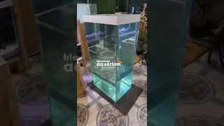 4 feet TOWER fish tank