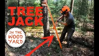#344 - Tree Jack Norwood Timber Tool and Directional Felling