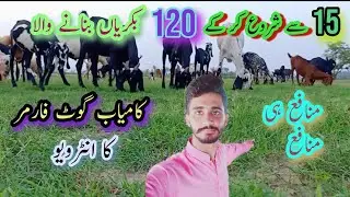 Goat Farming Business in pakistan || Successful Goat farmer interview|| Goat business ||Farming prot