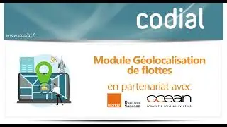 Module G&eacute;olocalisation de flotte avec balise Oc&eacute;an Orange Business Services