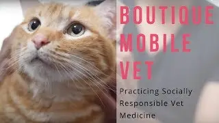 You'll never believe what this vet team does in people's homes!!