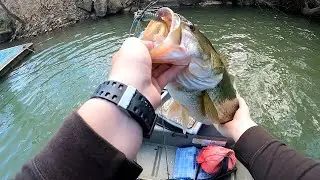 BIGS are starting to move up! (Smith Mountain Lake)