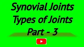 Types of Joints Part 3 || Synovial Joint || UGC NET Physical Education