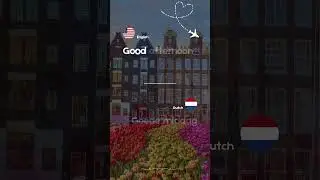 6 Basic Dutch phrases for your next #holiday to #amsterdam #travelphrase #shorts