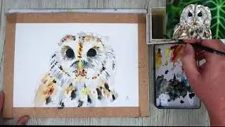 Step By Step Watercolour Painting - Owl - Tutorial
