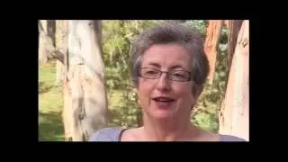 Women in Rural Medicine