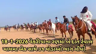 18-1-2026 વેકરીયા રણમાં બે દાત રેવાલ ચાલમાં 31 ઘોડાઓએ ભાગ લીધો #Horse fo Race #horseworld