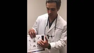 Techniques for Correcting a Droopy Tip with Thick Nasal Skin | Anthony Bared, MD, FACS Miami, FL