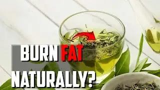 Health Benefits of Green Tea & How to Drink it | The Health Breakdown