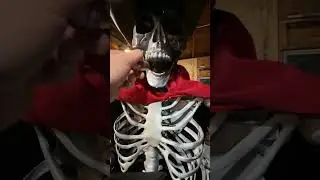 Walking Skeleton Halloween Costume