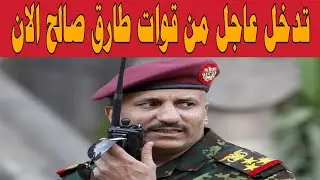نشرة أخبار اليمن اليوم الخميس الموافق 25 /12 /2025 