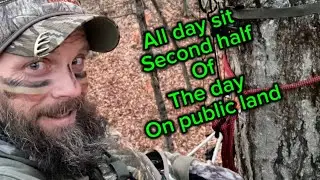 LIVE!! Saddle Hunting the Pre-Rut on Public Land