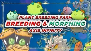 Breeding & Morphing | Plant Breeding Farm | Axie Infinity | ABC Method