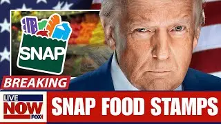 1 Min Ago: FOOD STAMP UPDATE TODAY - SNAP Food Stamps November 2025: Payment Dates by State