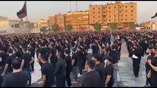العزاء القطيفي - الشريعه - يوم عاشر 1443هـ