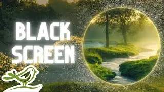 [NO ADS] Daydreaming | Relaxing Flute & Piano Music for Sleep with Water Sounds & Black Screen