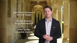 Multiscale Hamstring Muscle Adaptations to Nordic Hamstring Exercises