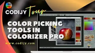 CODIJY Colorizer Pro Tour | Color Picking Tools