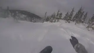 treehit