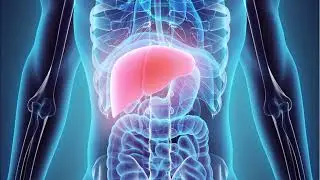 Healthy Liver Sub-liminal