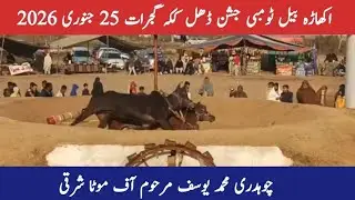 Chaudhry Yousaf Marhoom of Mota Sharqi | Akhara bail Tombi Dhal Kaka Gujrat 25 January 2026