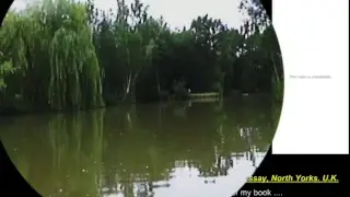 multi camera - f1pitpass 'Live from the Lake'