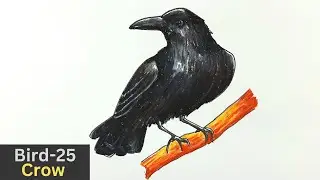 Crow Drawing/ easy Crow drawing tutorial step by step/ Bird drawing for kids/ Bird-25