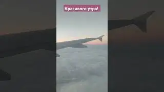 Доброе утро 🌞 #shorts #travel #happy #sky #sunrise #nature #airplane #morning  #доброеутро