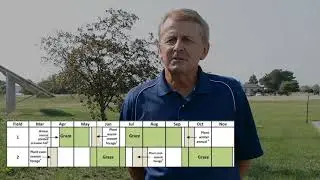 Continuous annual forages