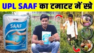 Upl Saaf Fungicide | साफ फंगीसाईड | Mancozeb and Carbendazim | टमाटर में साफ का स्प्रे | #upl_saaf